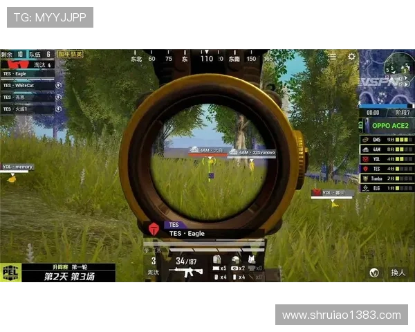 FPX战术变革引发热议和平精英新格局的探索与思考