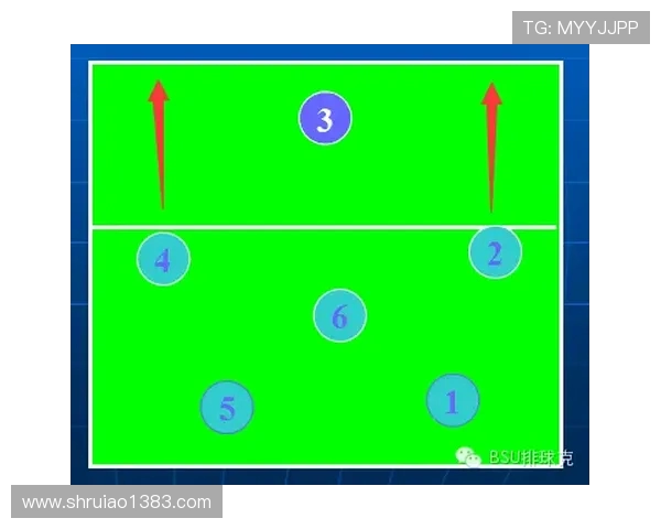 上海排球队进攻战术解析与球员表现评析