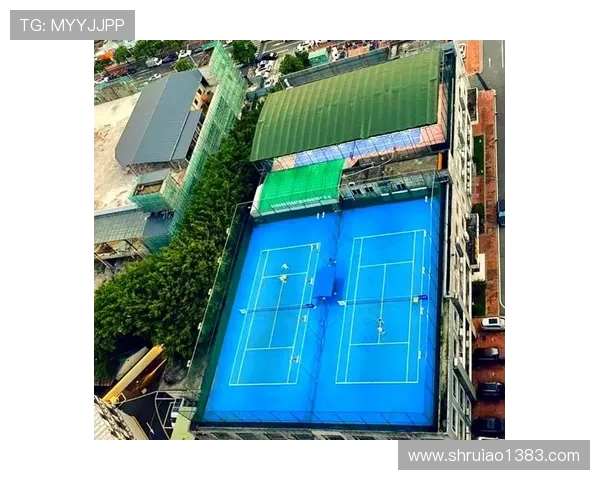 从零基础到高手之路网球速度提升全方位指南