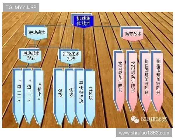 北京排球队战术解析与对比研究深度剖析球队优势与不足