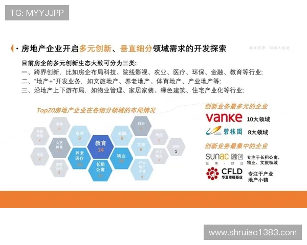 南京飞盘队进攻革新之路探索与实践的深度剖析与展望