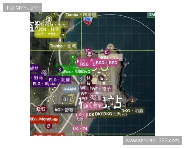 和平精英力量排行榜揭晓RNG战队荣登榜首引发热议