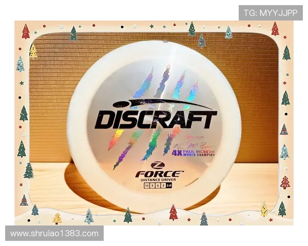 杭州飞盘队与深圳飞盘队赛后复盘分析比赛经验与战术调整探讨