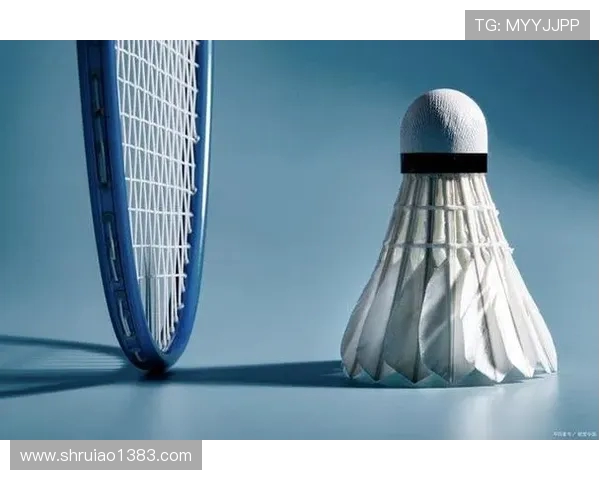 科学羽毛球耐力训练的有效方法与技巧分享