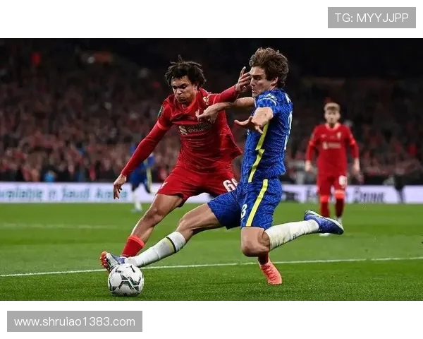 汉堡与雷根斯堡激战正酣比分揭晓精彩瞬间回顾 汉堡与雷根斯堡激战正酣比分揭晓精彩瞬间回顾