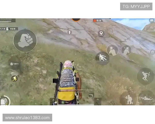 和平精英新手必看攻略：轻松入门的全面配合技巧与策略分享