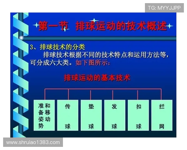 上海排球队战术解析：构建高效控制体系的关键策略与实践