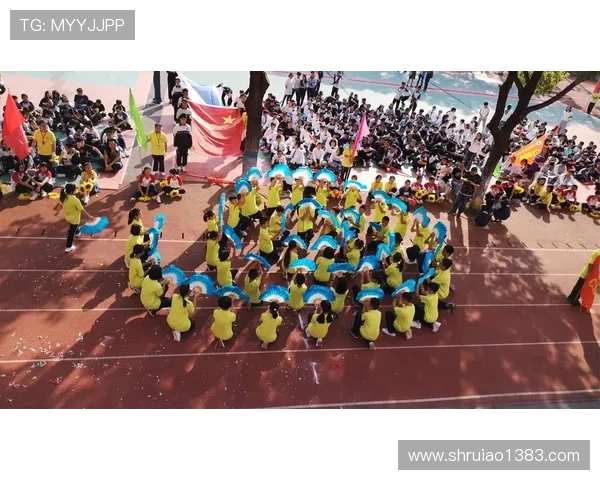 专访杨秀英:探寻排球背后的成功秘诀与奋斗历程 专访杨秀英:探寻排球背后的成功秘诀与奋斗历程