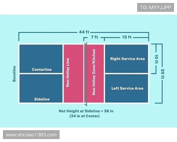 南京羽毛球队战术解析与控制体系的深度剖析与应用探讨